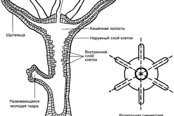 Кракен сайт 17at