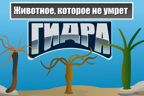 Маркет плей кракен